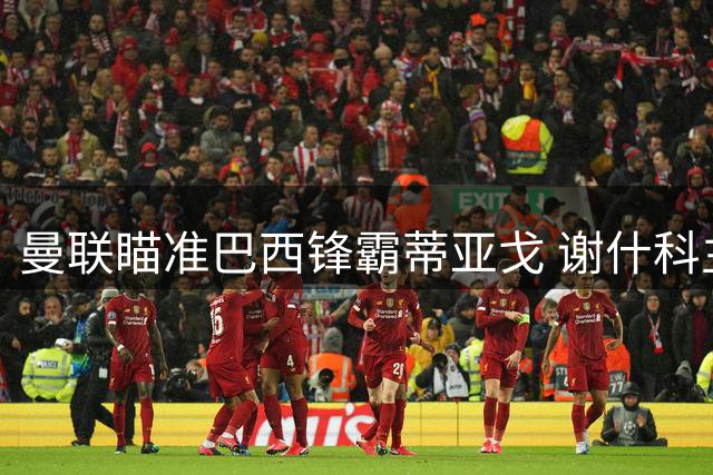 曼联瞄准巴西锋霸蒂亚戈 谢什科主力位置恐不保